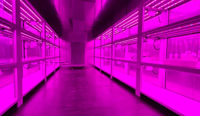 Algae (Seaweed) Cultivation Units